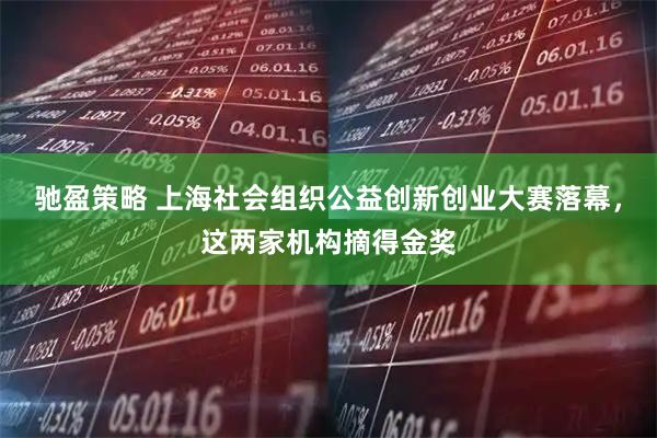 驰盈策略 上海社会组织公益创新创业大赛落幕，这两家机构摘得金奖