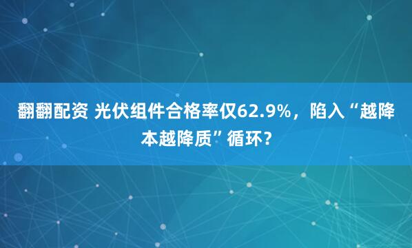 翻翻配资 光伏组件合格率仅62.9%，陷入“越降本越降质”循环？