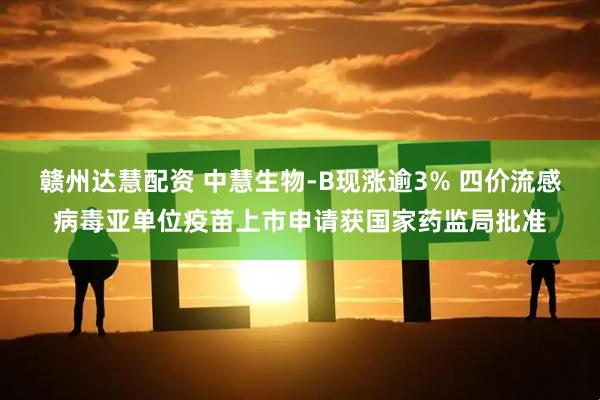 赣州达慧配资 中慧生物-B现涨逾3% 四价流感病毒亚单位疫苗上市申请获国家药监局批准